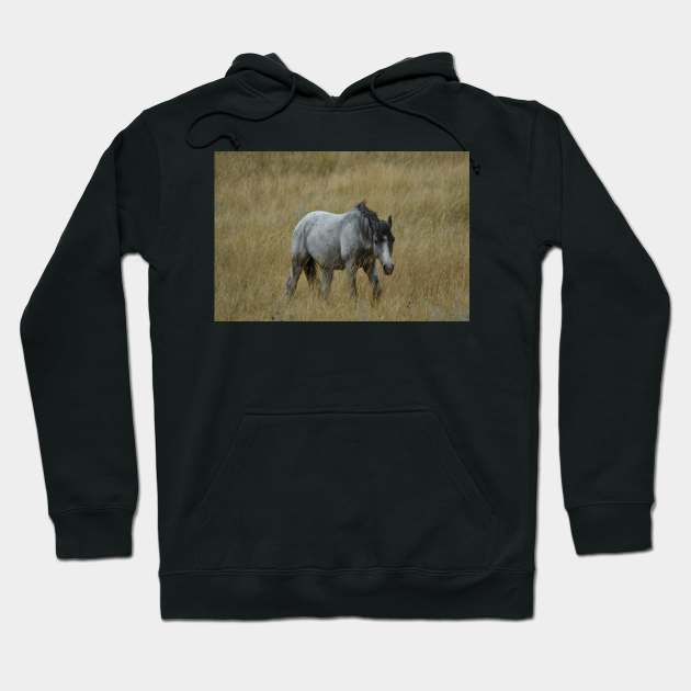 Wild Grey Horse Hoodie by MarieDarcy